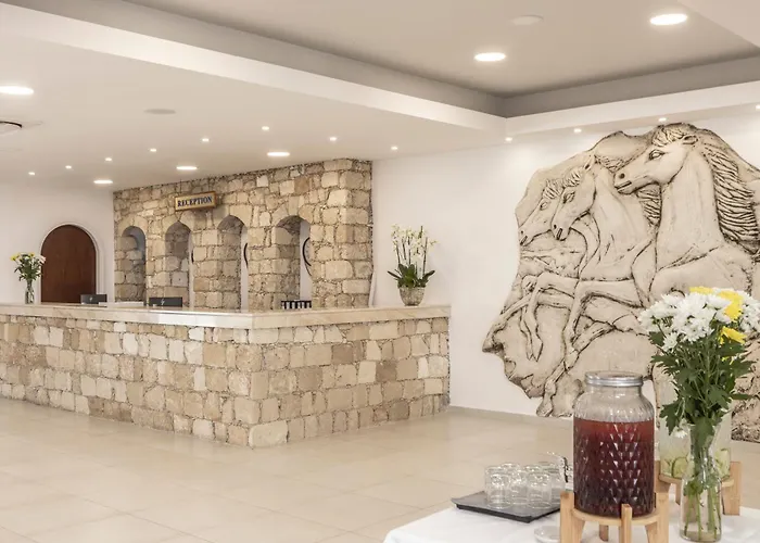 リゾート Kapetanios Aqua