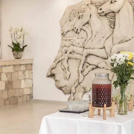 Kapetanios Aqua 4* Coral Bay